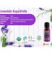 Lavender Essential Oil for Healthy Hair Skin Sleep-100% Pure Natural and Undiluted USDA Organic 30ml